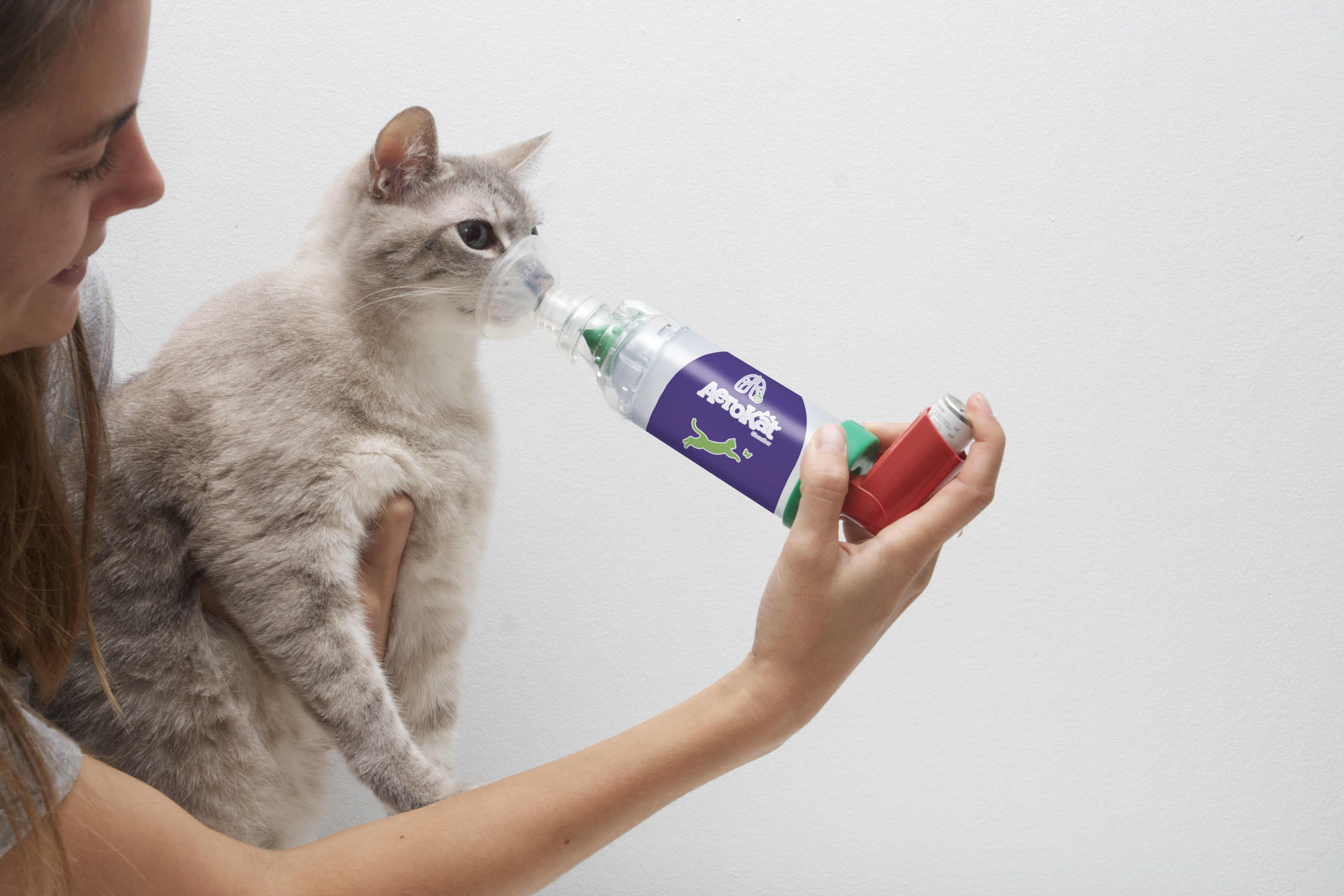 Cat shop nebulizer solution